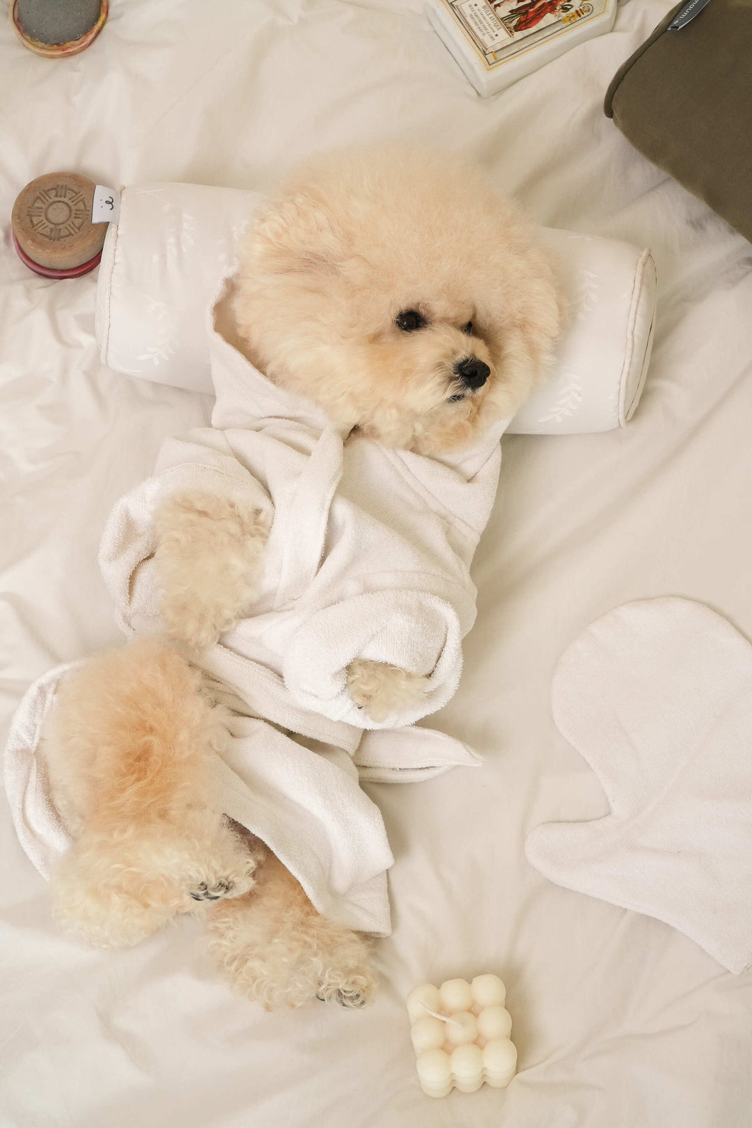 Pet Dry Towel Robe