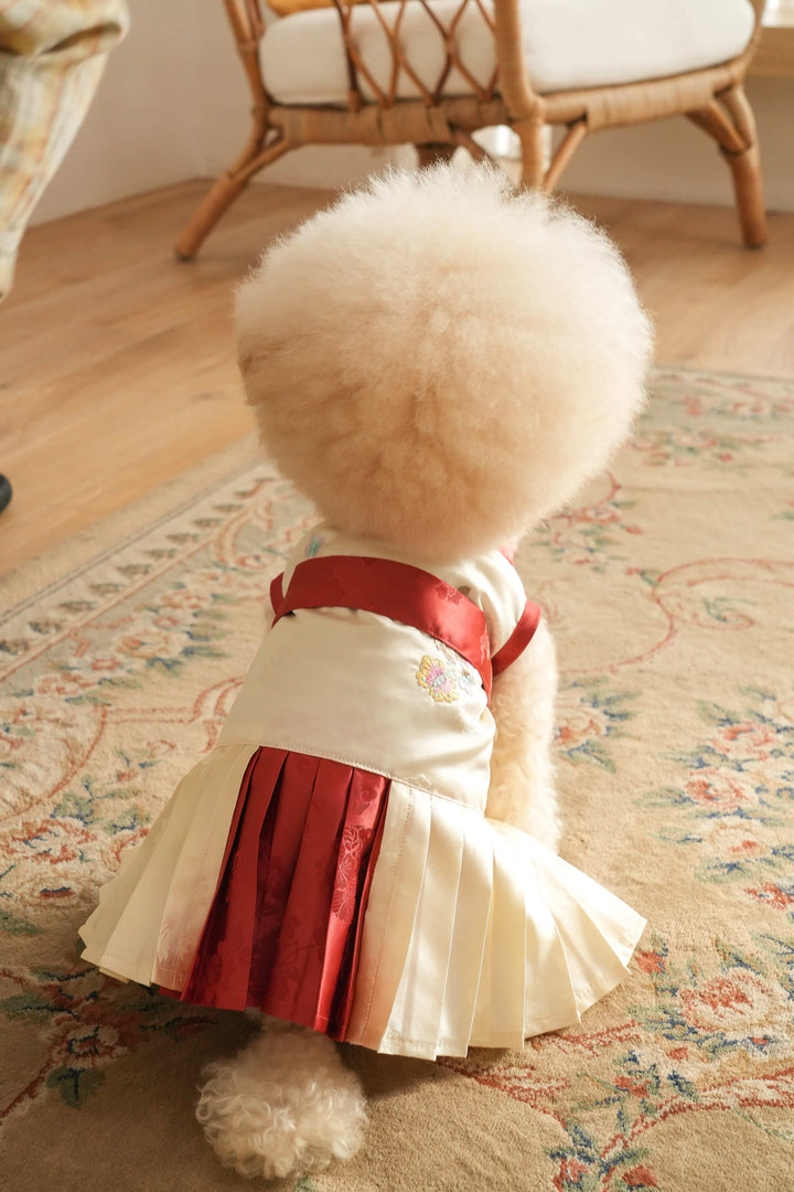 Traditional Hanbok for Pets