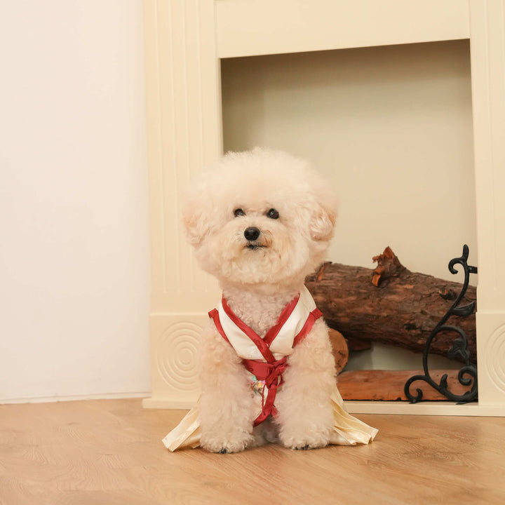 Traditional Hanbok for Pets